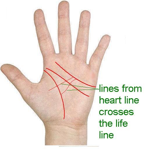 palmistry Know your Future A branch line of heart line touches the